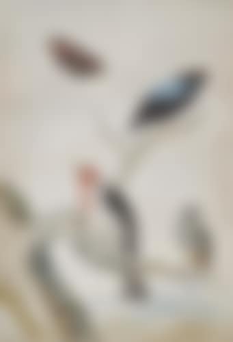 Study of three birds and a butterfly (preview)