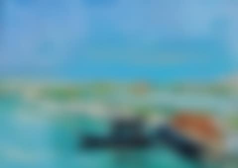 Barena a Treporti 2013 (preview)