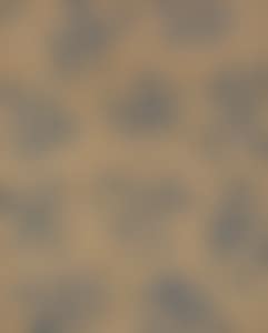 Recurrence (preview)