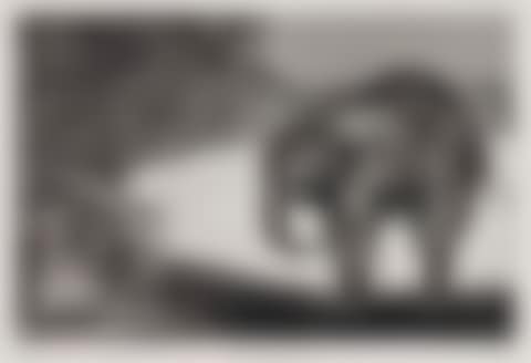 Quien se pondrá el cascabel al gato? (preview)