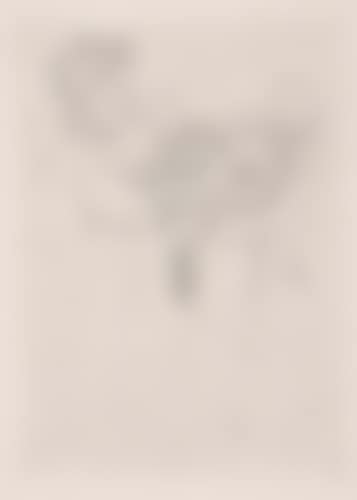 Looking into the Hand Mirror (No. 2) (preview)