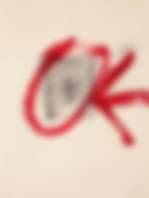 Study for the poster "Campanha d"Educació pels Drets Humans" (preview)