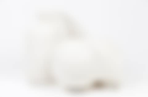 "Early Forms" (preview)