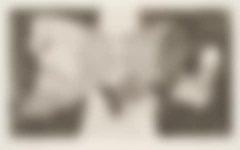 The Butterfly and the Flame (preview)