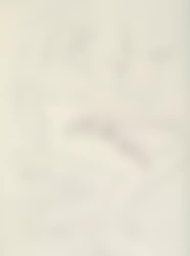 Ombre de mon Amour by Guillaume Apollinaire (preview)