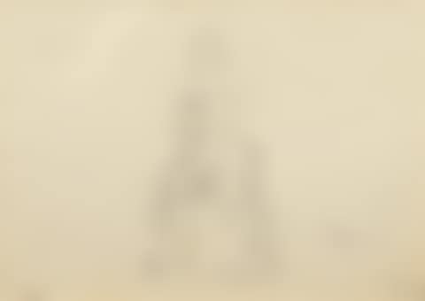 The Rider (preview)