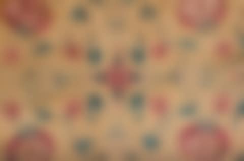 Silk carpet from (preview)