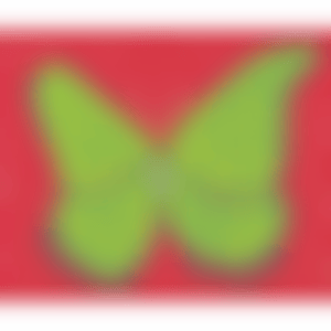 Butterfly (Kusama 119) (preview)