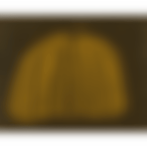 Pumpkin (Yellow Y) (Kusama 148) (preview)