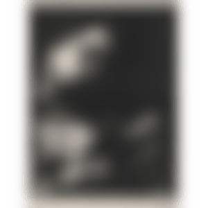 Jacqueline lisant (Mourlot 309; Bloch 852) (preview)