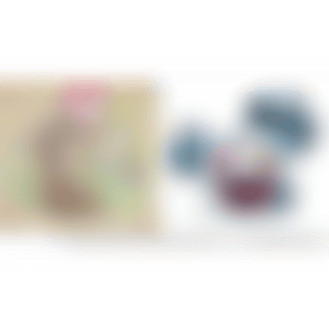 1. A Bouquet in a Basket／2. ICE BLUE MELTING DOB (preview)
