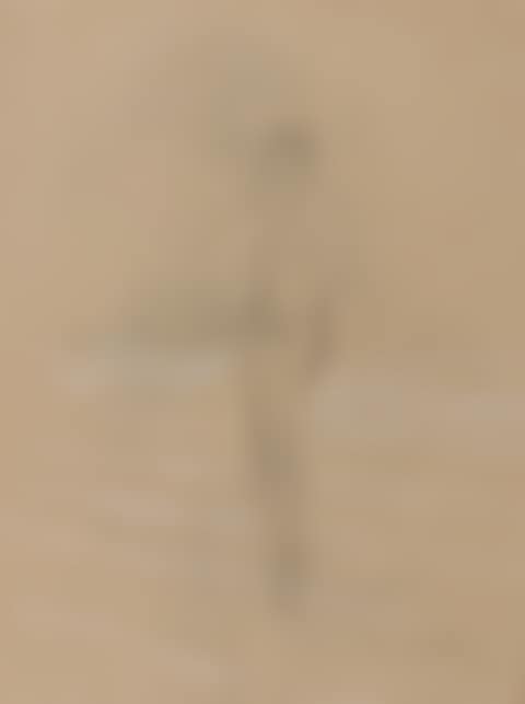 A Nude in the Surf (preview)