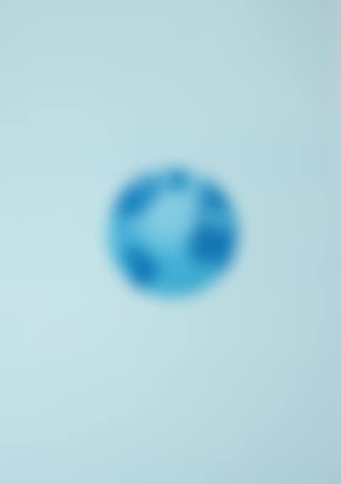 The Globe and Its Surroundings (preview)