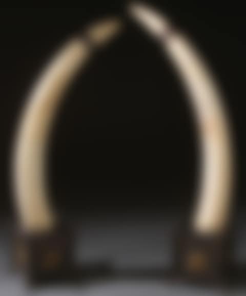 AN IMPRESSIVE PAIR OF OLD SPORT TROPHY ELEPHANT IVORY TUSKS (preview)