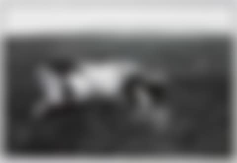 Horse, Wales from "Welsh Miners." (preview)