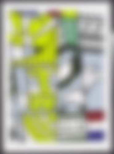 Bicentennial Print (preview)