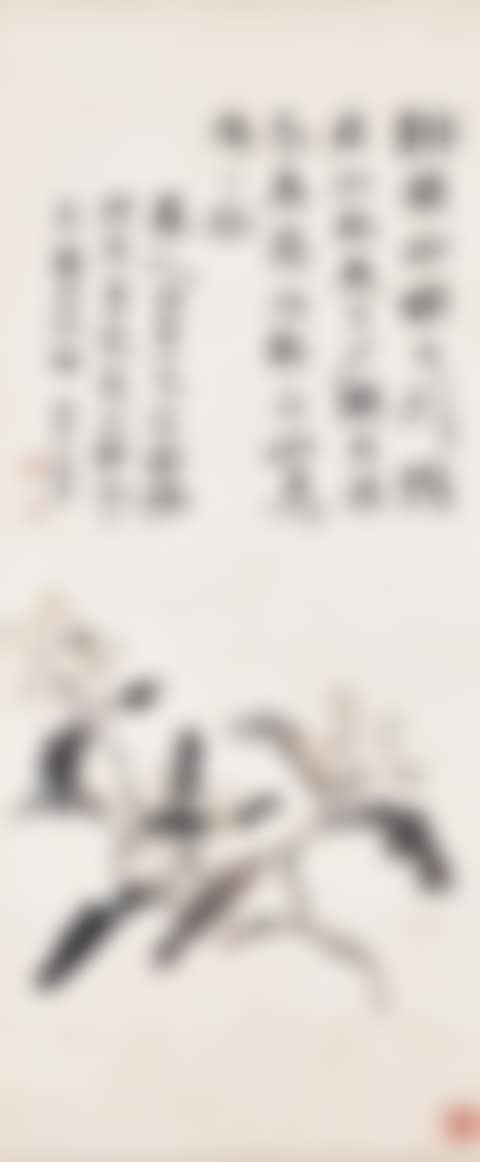 Loquat (preview)