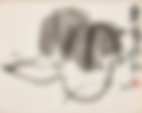 Vine (preview)