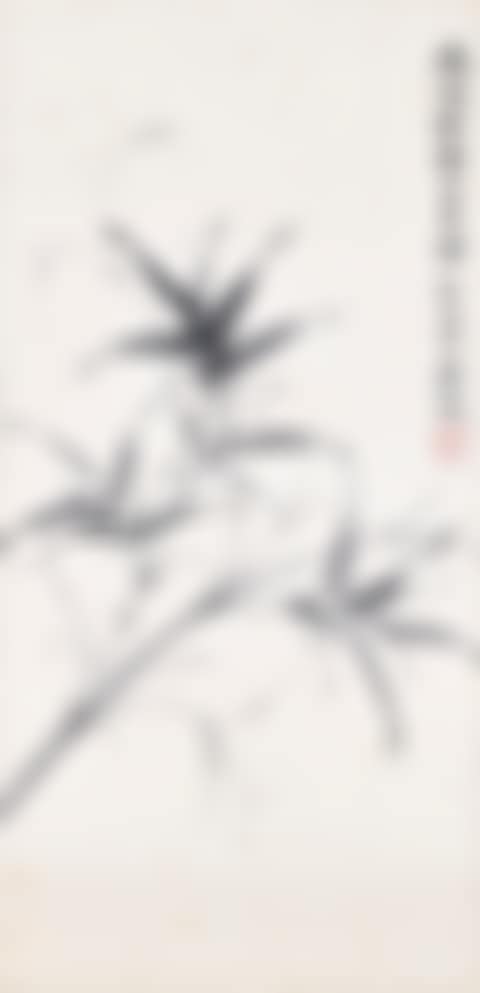 Bamboo (preview)