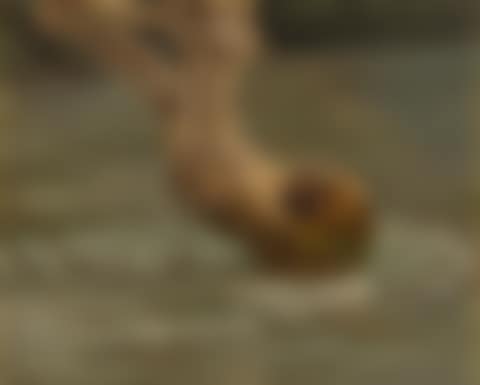 A Tree Trunk caught in the Waters at Tivoli (preview)