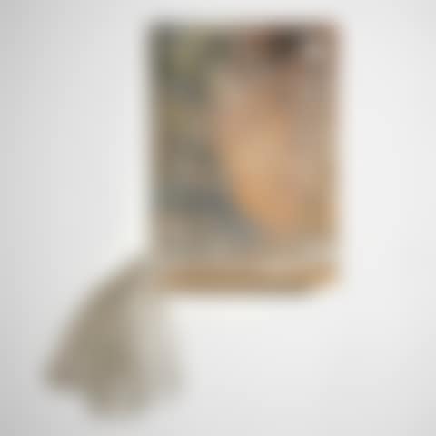 Shelf Painting (Dew Problems) #9 (preview)