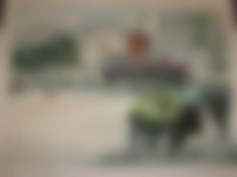 L'Oie (preview)
