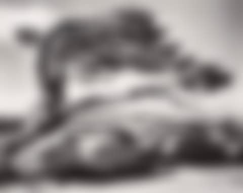 Jeffrey Pines. (preview)