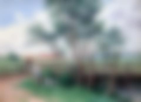 Le pont (preview)