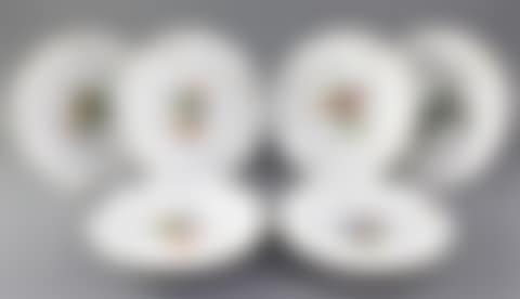 A set of six late Meissen cabinet plates, decorated with songbirds and insects (preview)