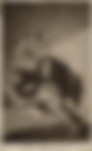 El Vergonzoso (preview)
