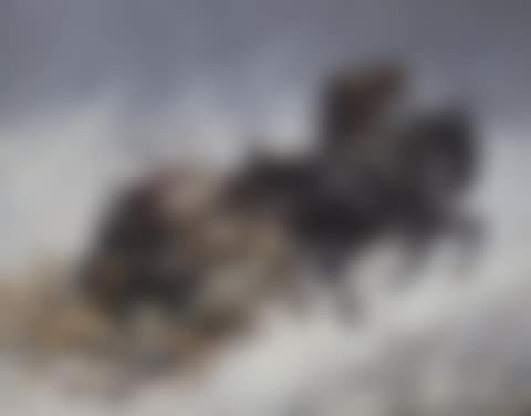 Horse-drawn sleigh in winter (preview)