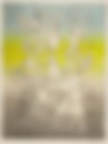 Rhabdomacie (preview)