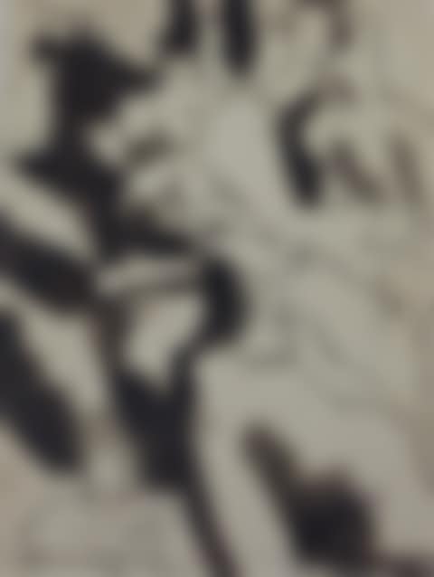 Ghetto Theatre study (preview)