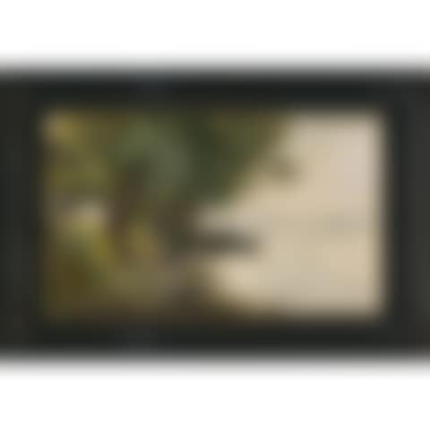 View of Lake Chiemsee (preview)