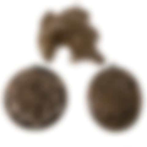 Three copper models (preview)