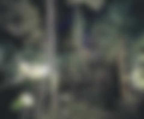 Hawaii (preview)