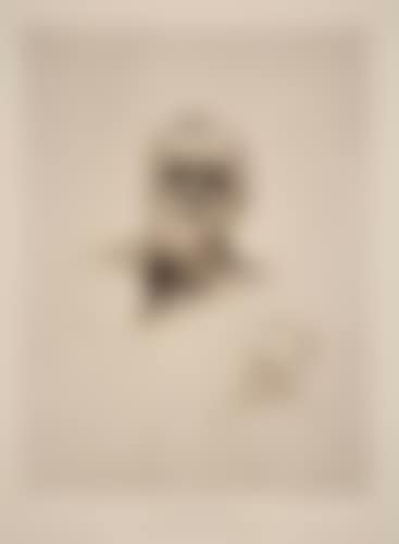 Victor Hugo de face (preview)