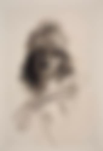 Buste de Bellone (preview)