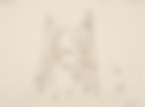 Untitled (preview)