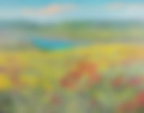 Columbia River landscape with wildflowers (preview)