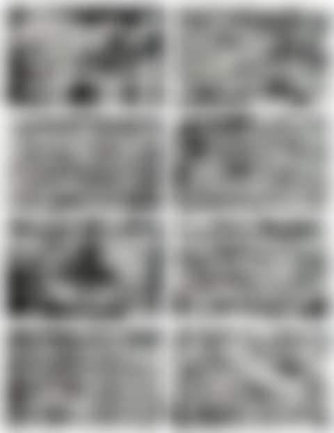 128 Fotos von einem Bild (Halifax 1978) II (128 Details From a Picture) (B. 99) (preview)