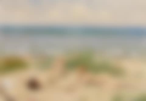 Piger på stranden, Båstad (Girls on the beach, Båstad) (preview)