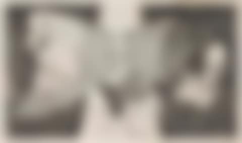 The Butterfly and the Flame (preview)