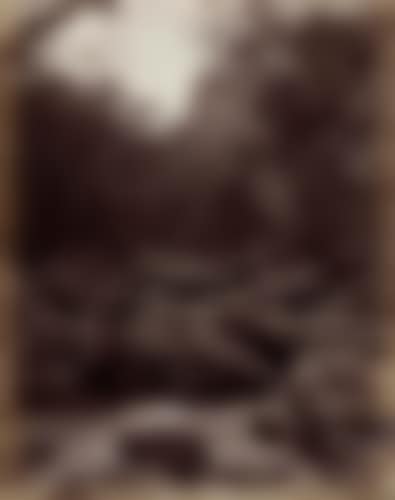 AUSTRALIA (preview)