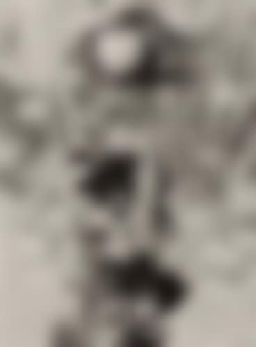 Creation (preview)