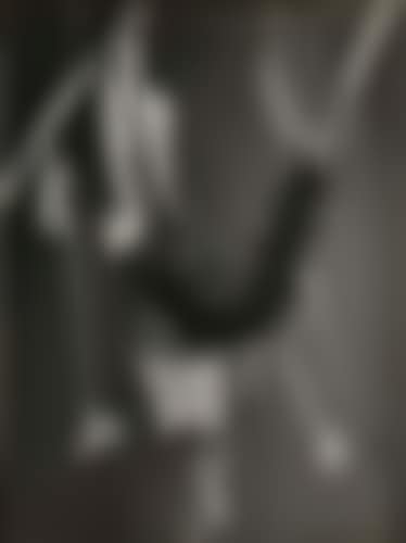 Untitled (Caterpillar study) (preview)