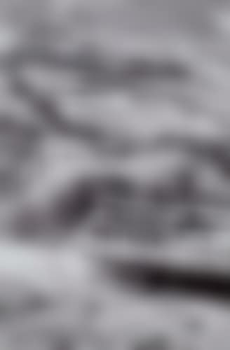 Portfolio entitled "Salgado: Portfolio Number Two," (preview)