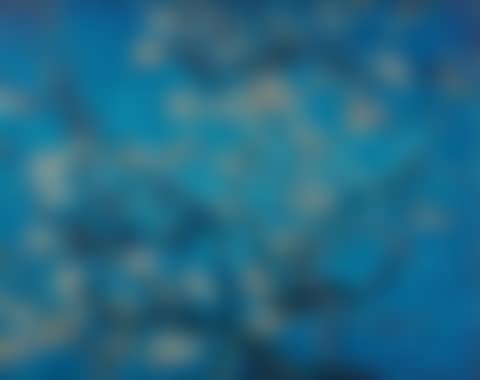 Almond Blossom, after van Gogh (from 'Pictures of Magazines') (preview)