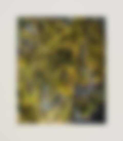Plight (preview)