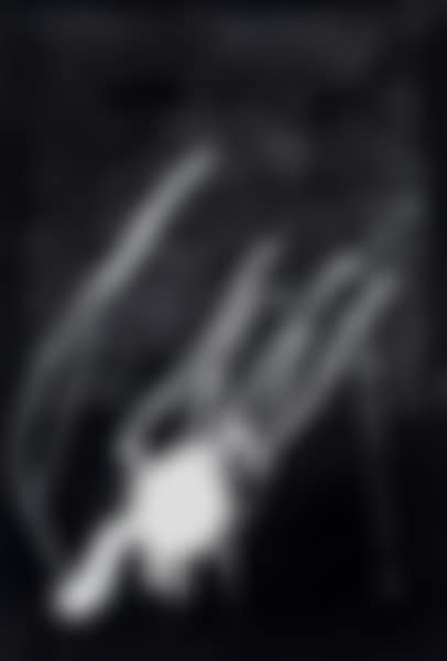 Untitled (preview)